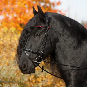 Kieffer Anja Beran Exclusive Snaffle Bridle