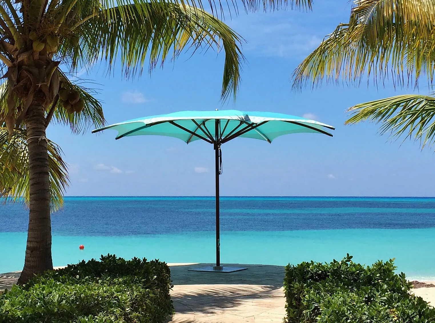 Ocean Master MAX Crescent Umbrella - TUUCI
