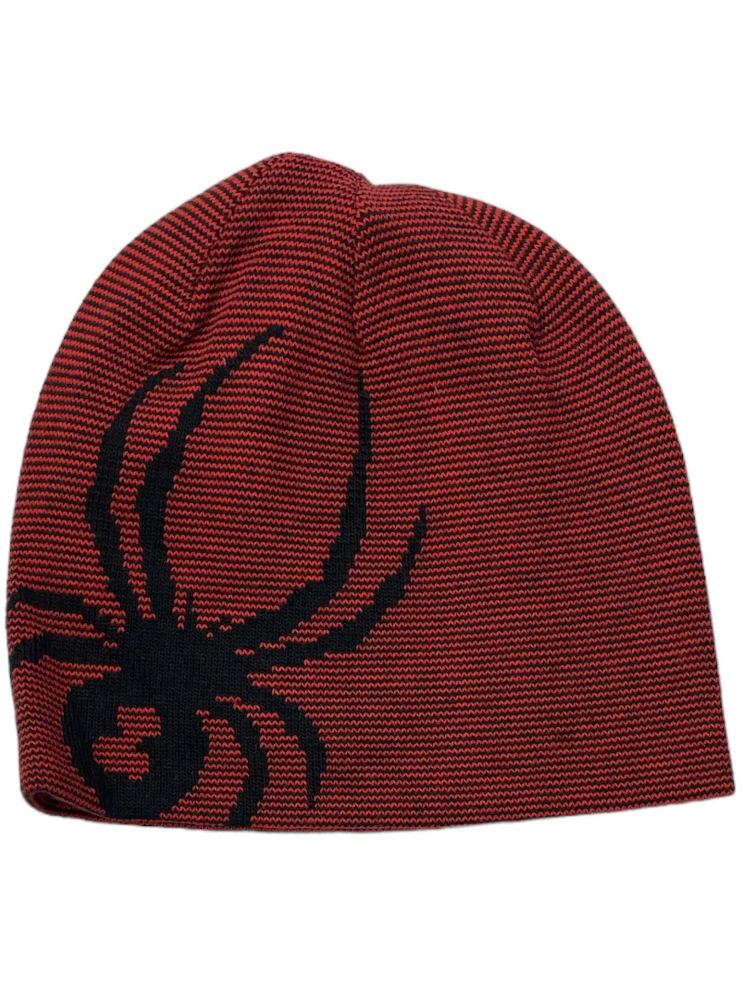 Spyder Boys' Reversible Bug Beanie